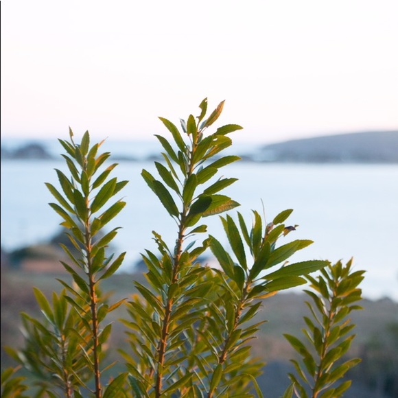 Meet your Posher, Shelly - Picture 4 of 6